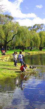 Lake users